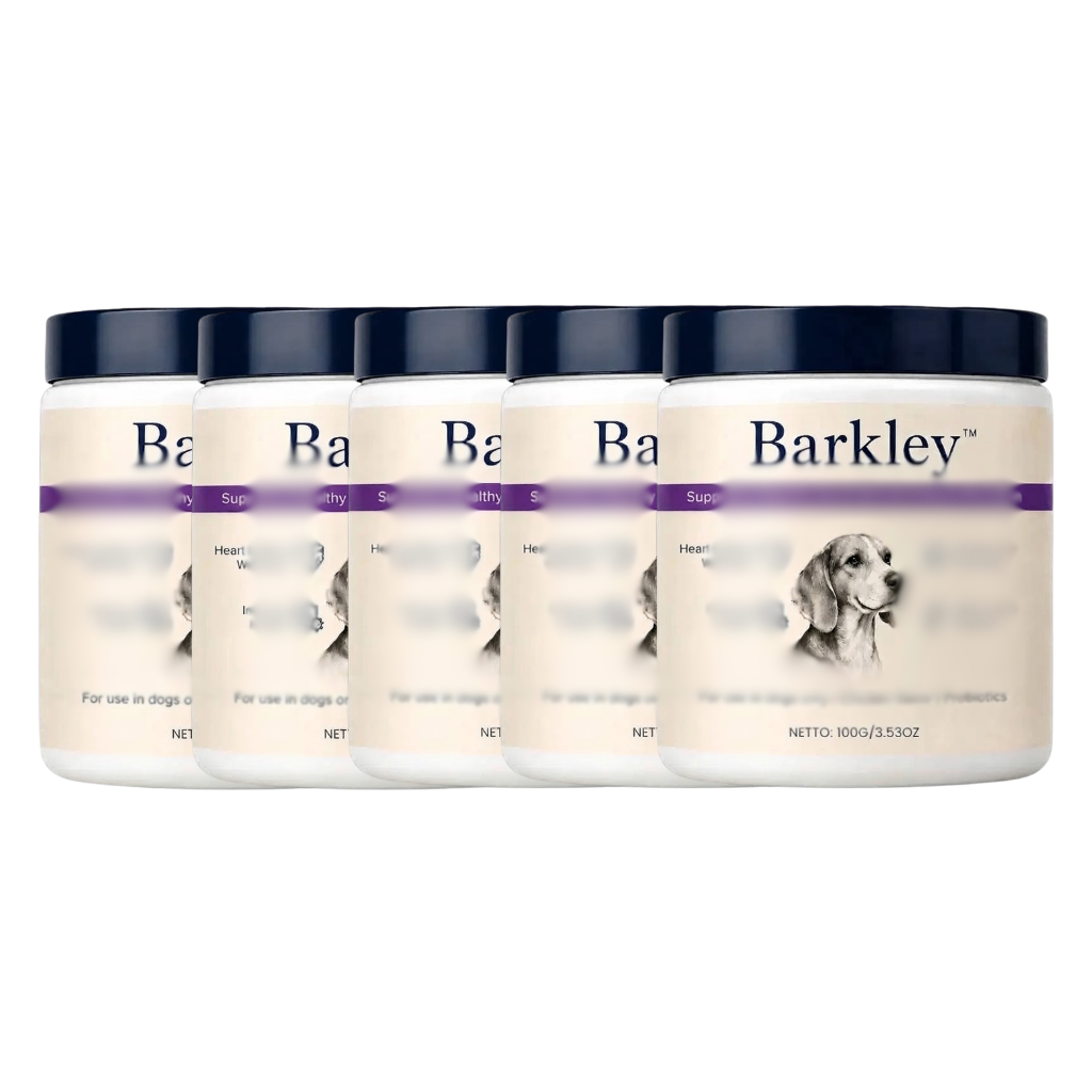 bundle-5x